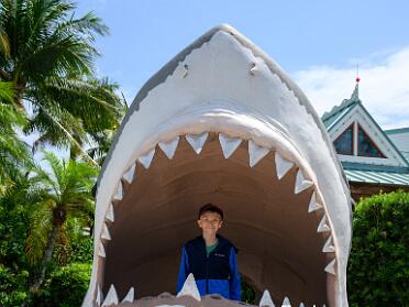 Everglades April 2022