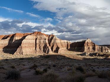 Toadstools March 2024